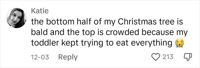 Man Calls Out “Boring” People Who Don’t Let Their Christmas Tree Be At Least A Little Bit Tacky Man Calls Out “Boring” People Who Don’t Let Their Christmas Tree Be At Least A Little Bit Tacky