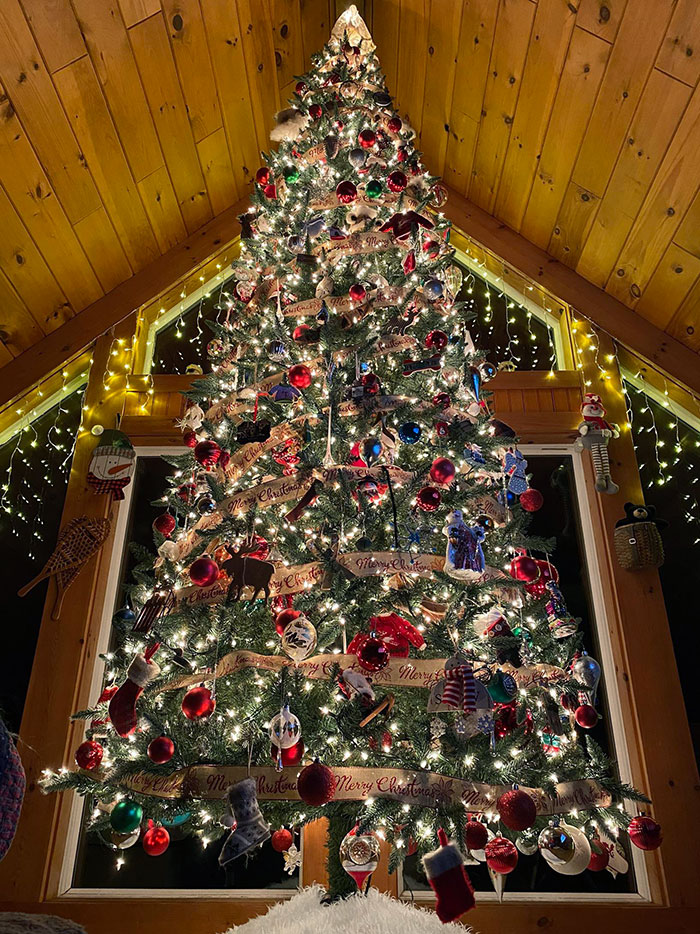 Christmas Tree In Our House