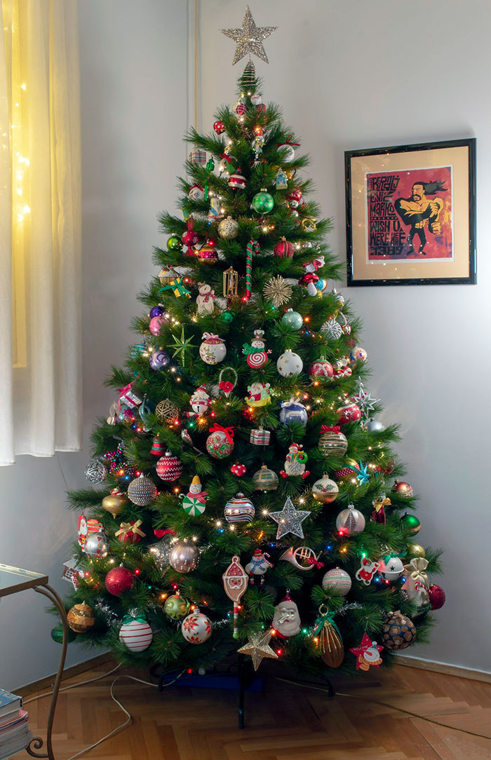 Here's My Christmas Tree