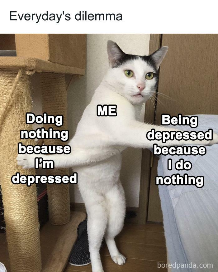 Relatable meme with a cat standing, representing a cycle of doing nothing and feeling depressed.