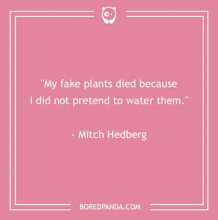 40 Comedy Quotes From Famous Folk That Might Make Your Sides Split From Laughter - 14