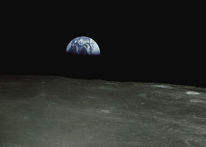 Someone Asks What Facts Sound Comforting But Are Actually Highly Disturbing, And 30 People Deliver