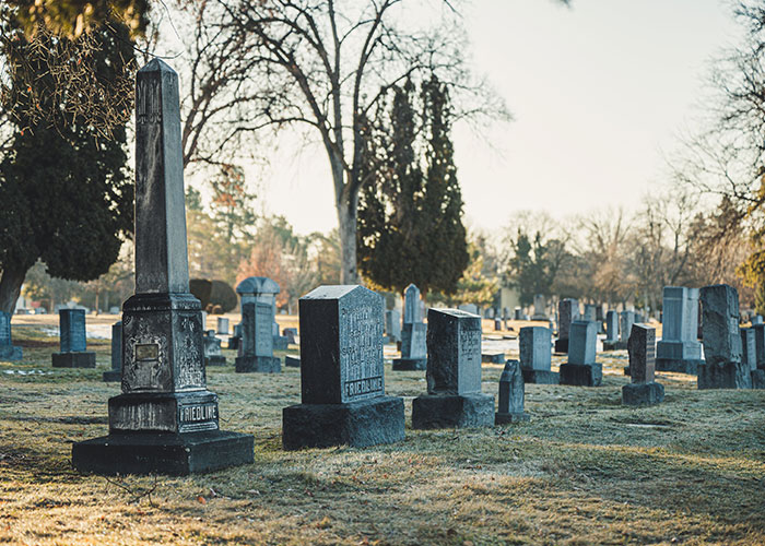 Someone Asks What Facts Sound Comforting But Are Actually Highly Disturbing, And 30 People Deliver