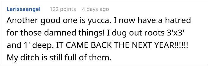 &ldquo;I&rsquo;m Playing The Long Game&rdquo;: Woman Waits 5 Years For Revenge On Landlord To &ldquo;Break Ground&rdquo;