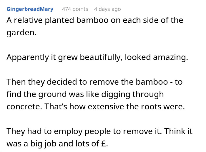 &ldquo;I&rsquo;m Playing The Long Game&rdquo;: Woman Waits 5 Years For Revenge On Landlord To &ldquo;Break Ground&rdquo;