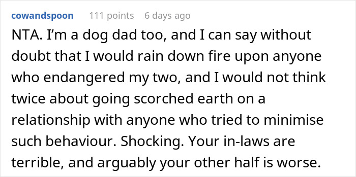 Man Loses His Cool After He Almost Lost His Dog Because Of Future In-Laws Who Don&rsquo;t Feel Remorse