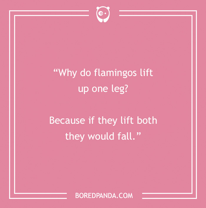 Corny dad joke about flamingos lifting one leg on a pink background.