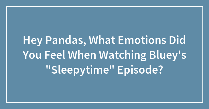 Hey Pandas, What Emotions Did You Feel When Watching Bluey’s “Sleepytime” Episode?