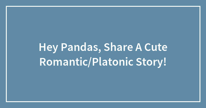 Hey Pandas, Share A Cute Romantic/Platonic Story!