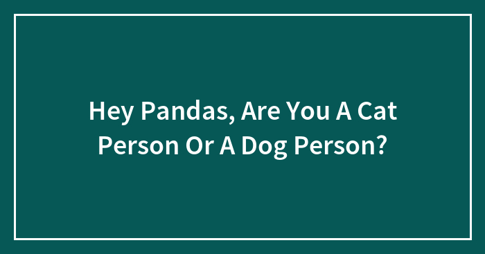 Hey Pandas, Are You A Cat Person Or A Dog Person?
