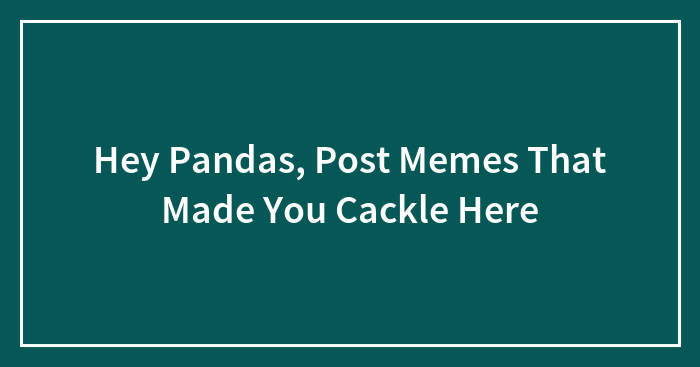 Hey Pandas, Tell Me The Worst Jokes You’ve Heard