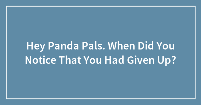 Hey Panda Pals. When Did You Notice That You Had Given Up?