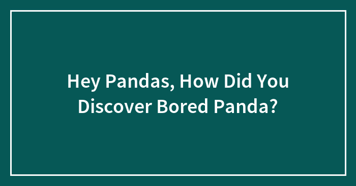 Hey Pandas, How Did You Discover Bored Panda?