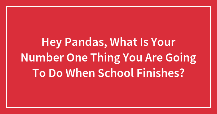 Hey Pandas, What Is Your Number One Thing You Are Going To Do When School Finishes?