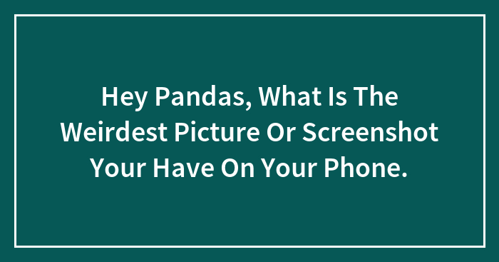 Hey Pandas, What Is The Weirdest Picture Or Screenshot Your Have On Your Phone.