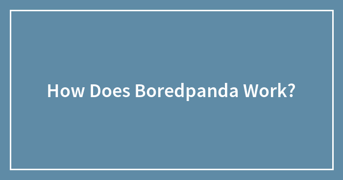 How Does Boredpanda Work?