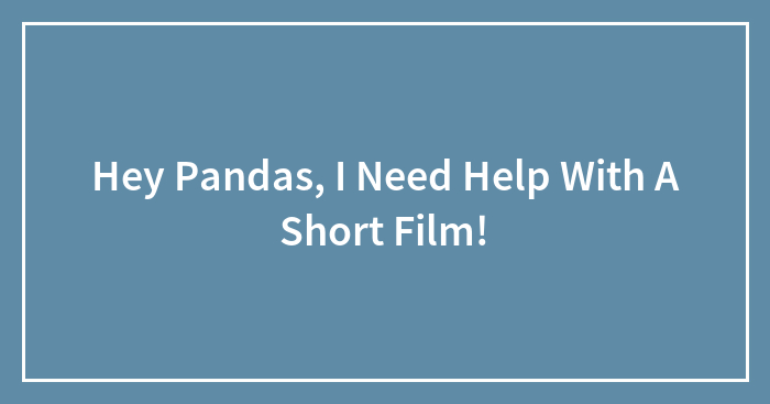 Hey Pandas, I Need Help With A Short Film!