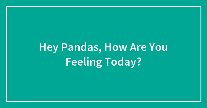 Hey Pandas, How Are You Feeling Today?