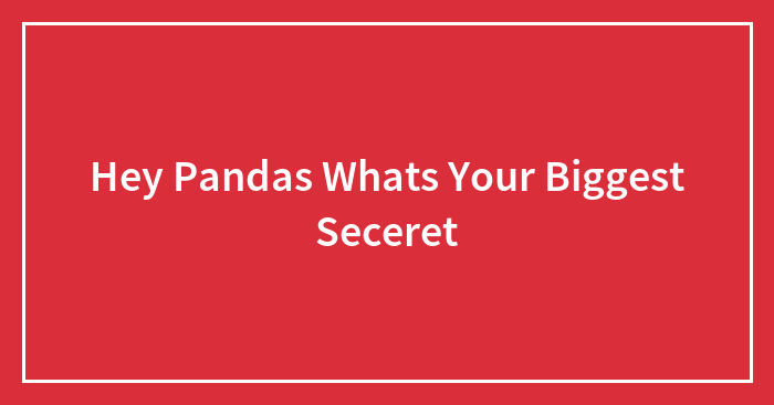 Hey Pandas Whats Your Biggest Seceret