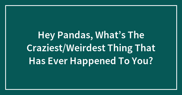 Hey Pandas, What’s The Craziest/Weirdest Thing That Has Ever Happened To You?