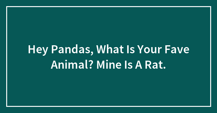 Hey Pandas, What Is Your Fave Animal? Mine Is A Rat.