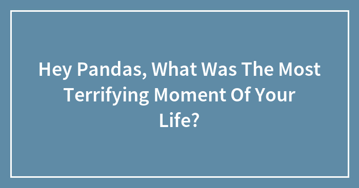 Hey Pandas, What Was The Most Terrifying Moment Of Your Life?