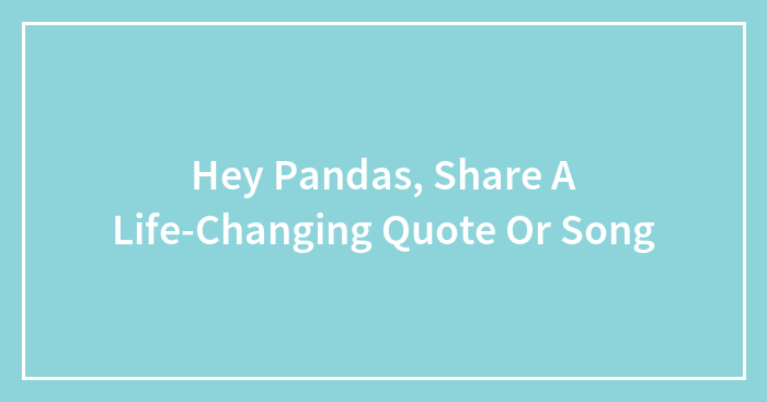 Hey Pandas, Share A Life-Changing Quote Or Song