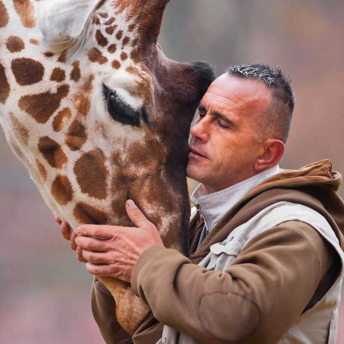 Sad News From The Zoo In Skopje