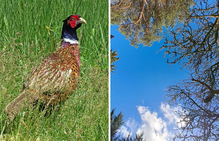 Hey Pandas, What Is Your Favorite Photo You Took During 2023?