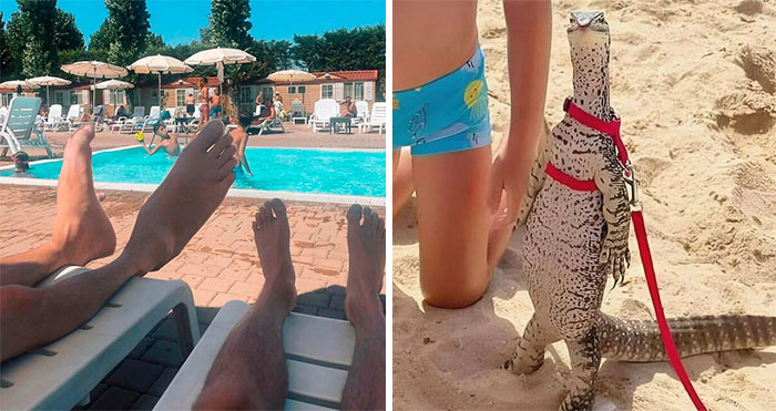 50 “Images That Might Be Cursed,” As Seen On This X Page