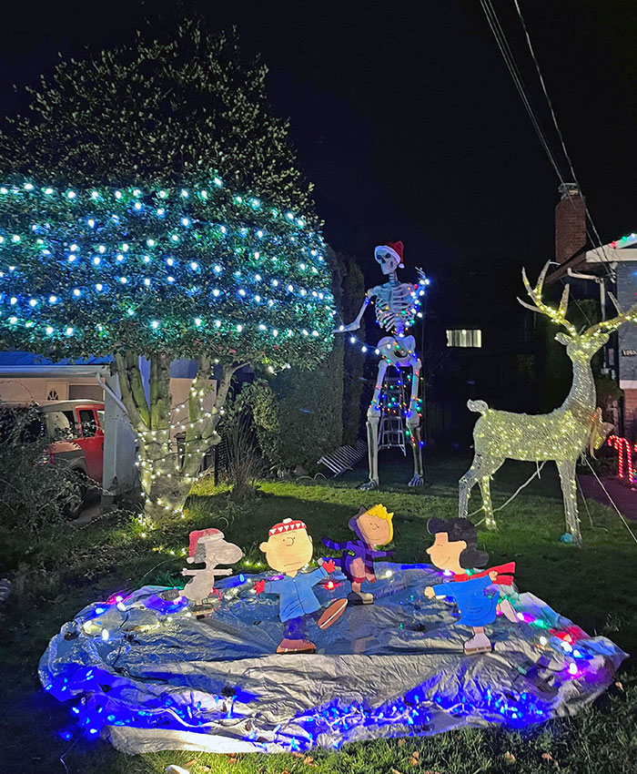 I Want To See More Christmas Skeletons