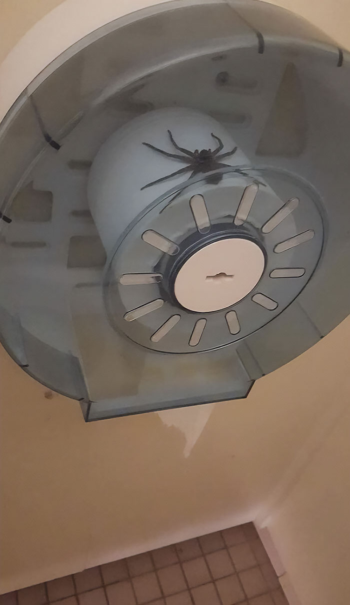 Creepy-Toilets-With-Threatening-Auras-Pics