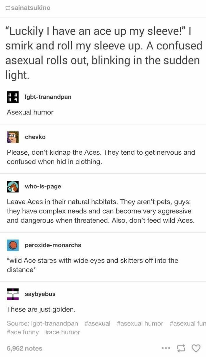 [insert Creative Title Here]