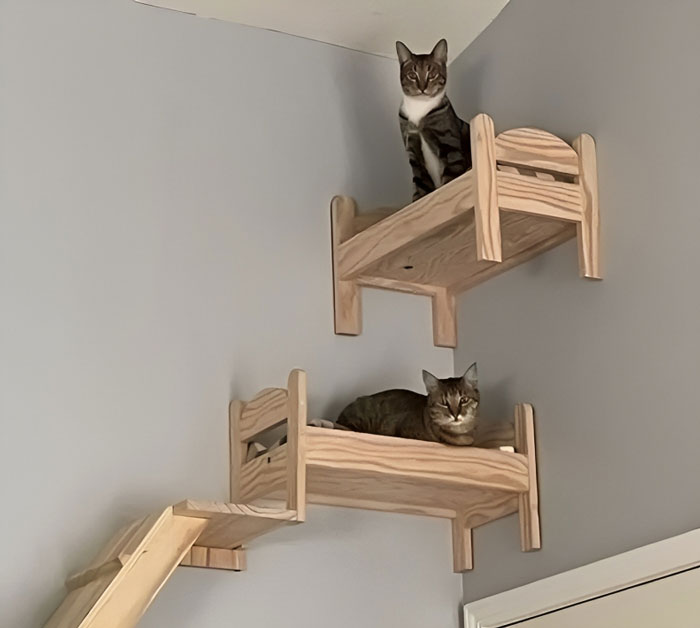 Woman Refuses To Let Homeless Parents Occupy Her Pet Room, Wonders If She's Being Cruel Woman Refuses To Let Homeless Parents Occupy Her Pet Room, Wonders If She's Being Cruel