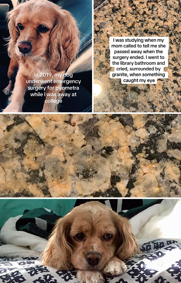 Eerie-Coincidences-Stories-Tiktok-Trend