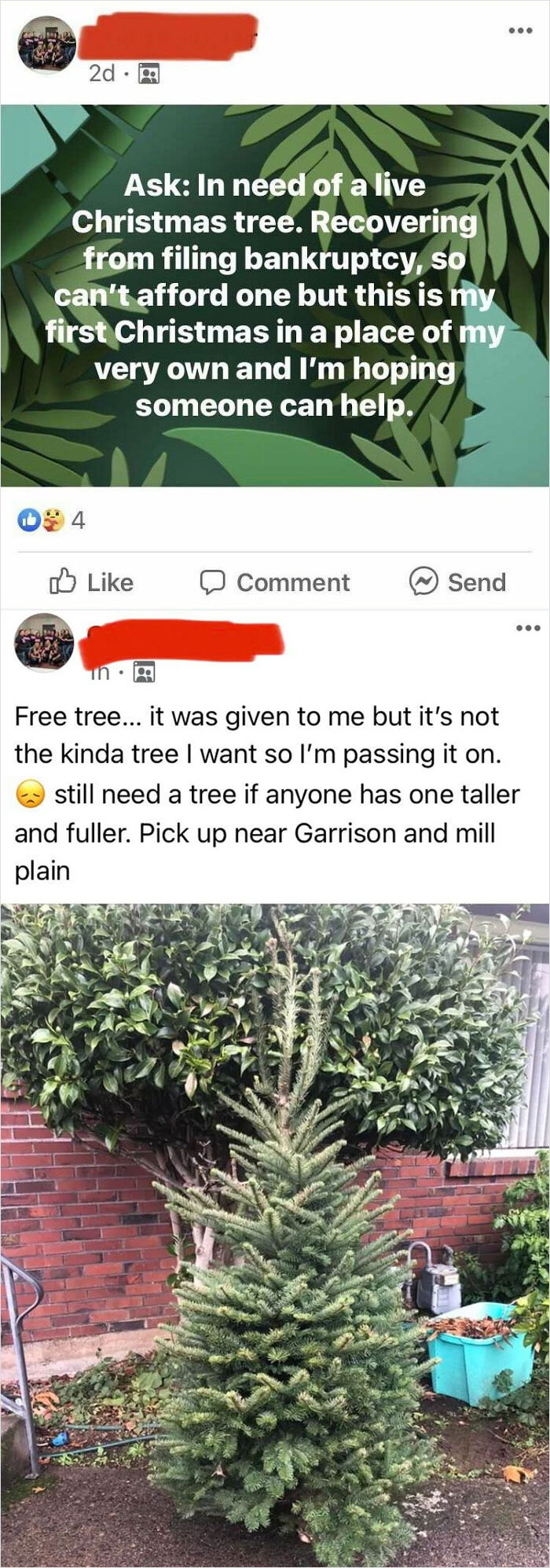 Free Christmas Isn’t Tall Or Full Enough…