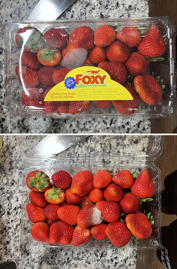 Sticker Perfectly Covered This Moldy Berry