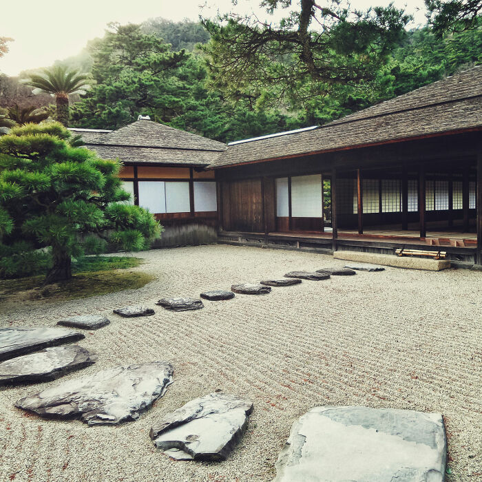 Yard with interesting pathway