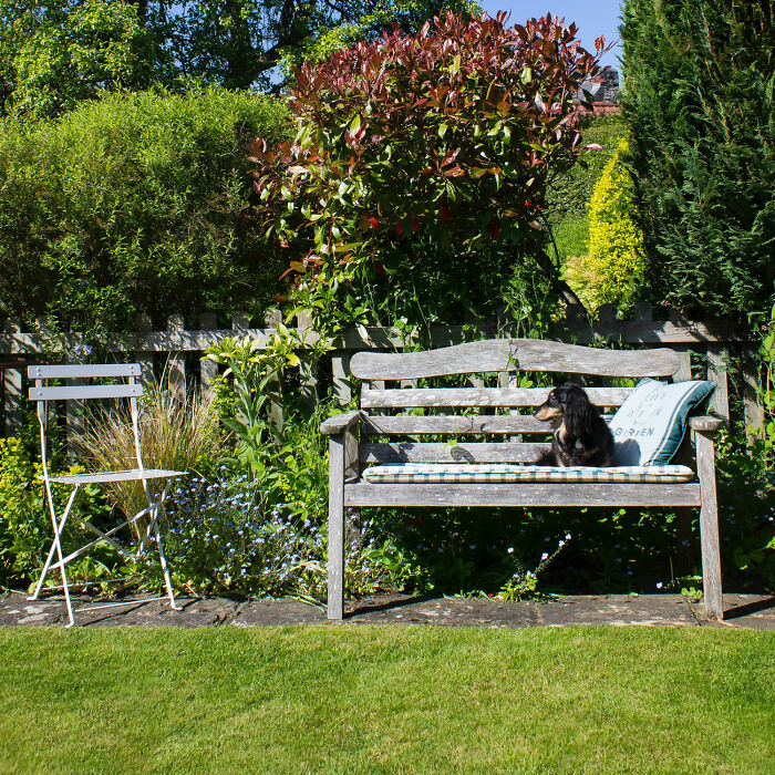 Chair and bench in front yard