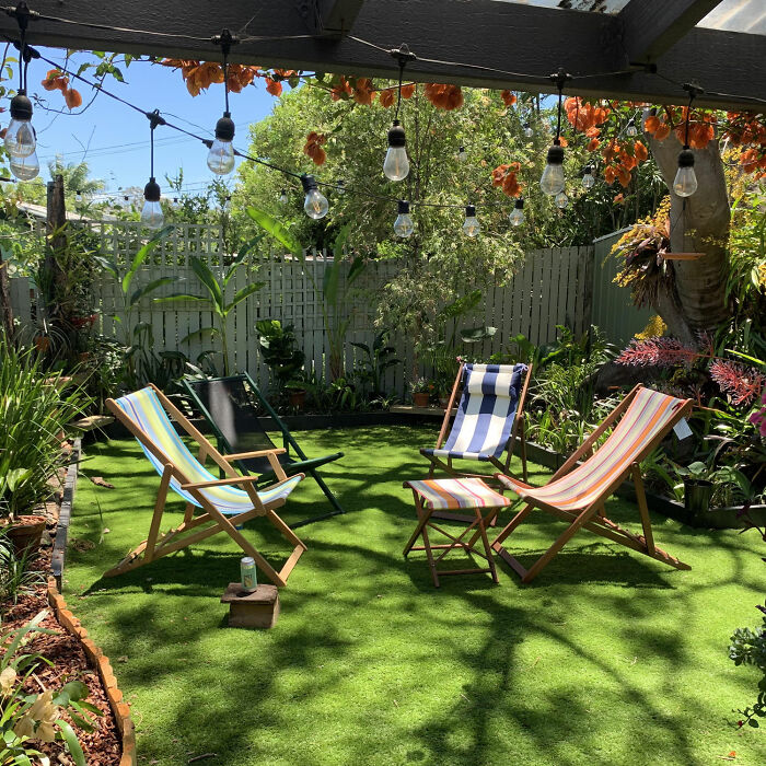 Lounge chairs in front yard