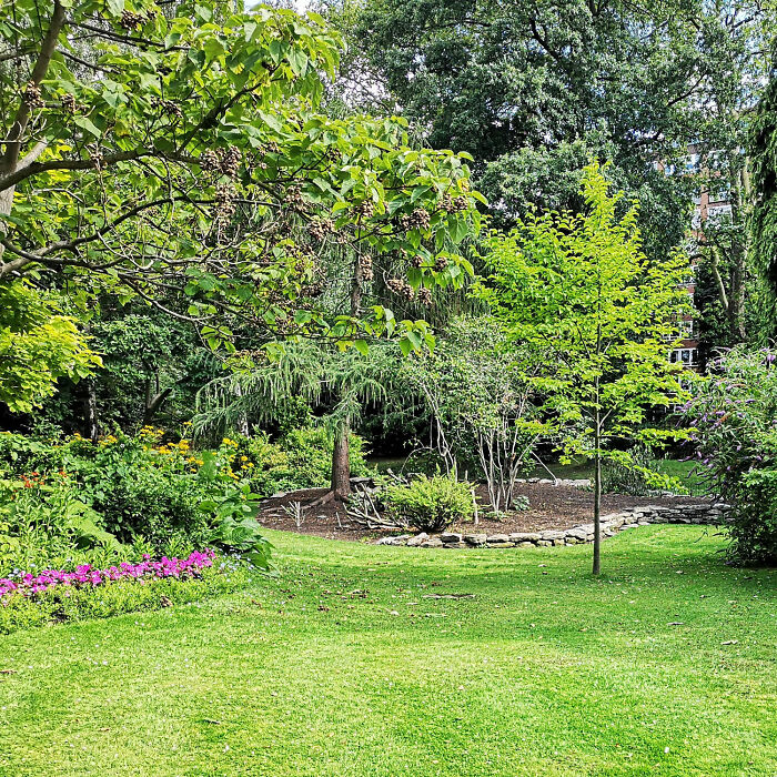 Front yard with trees and flowers