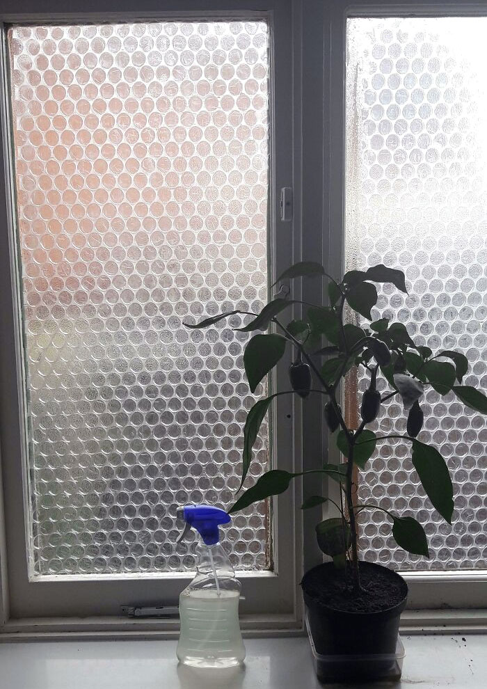 Para tener un aislamiento barato, pon plástico de burbujas en las ventanas y el calor se quedará dentro. Solo hay que rociarlo con agua y se quedará pegado a la ventana