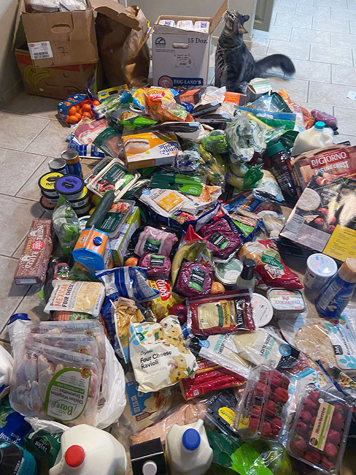 Here's Another $500+ Haul From My Favorite Dumpster. I Haven't Purchased Groceries In Years