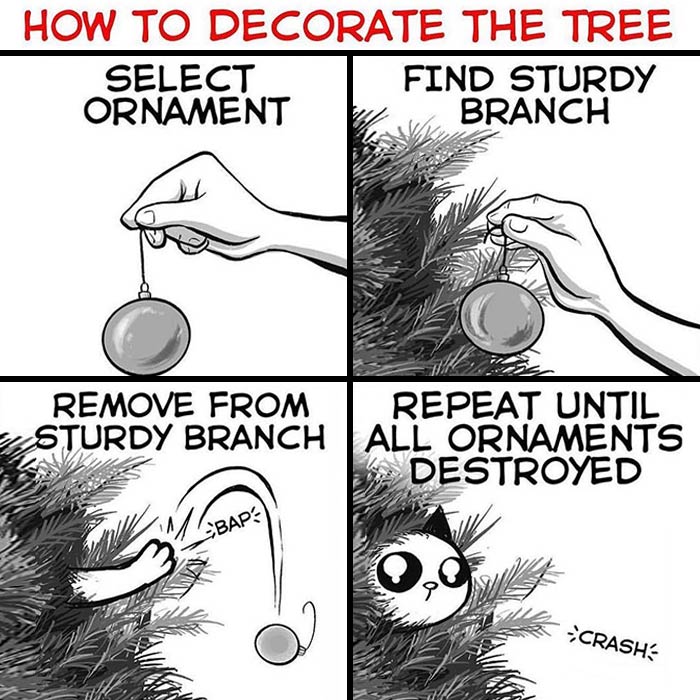 40 Relatable Comics If You’ve Ever Had A Cat, Created By This Artist (New Pics)