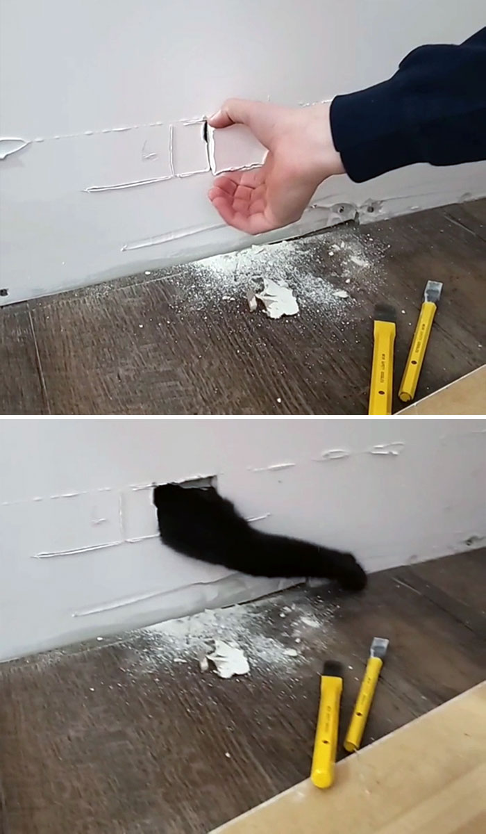 My Cat Got Stuck In The Wall On Christmas Day