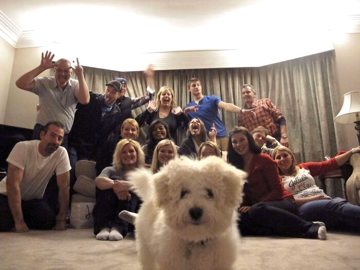 Family Christmas Picture Photobomb