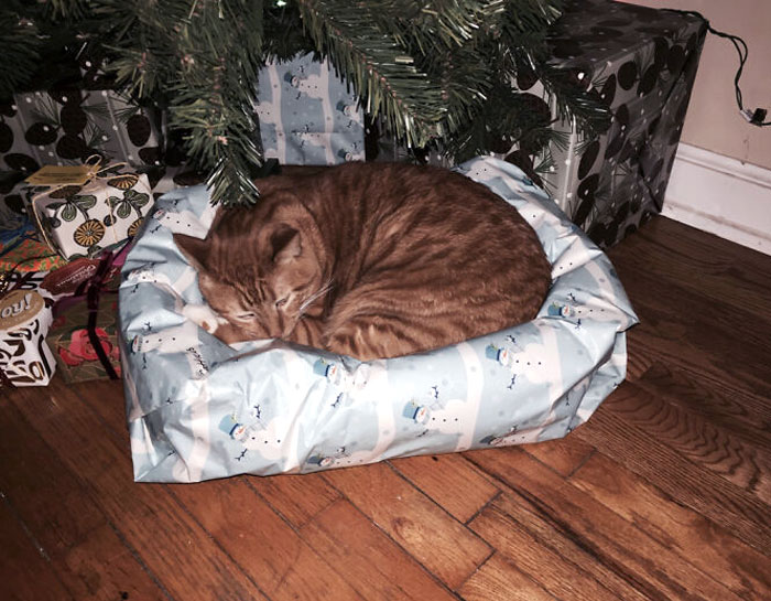 I Think He Knows What His Christmas Gift Is