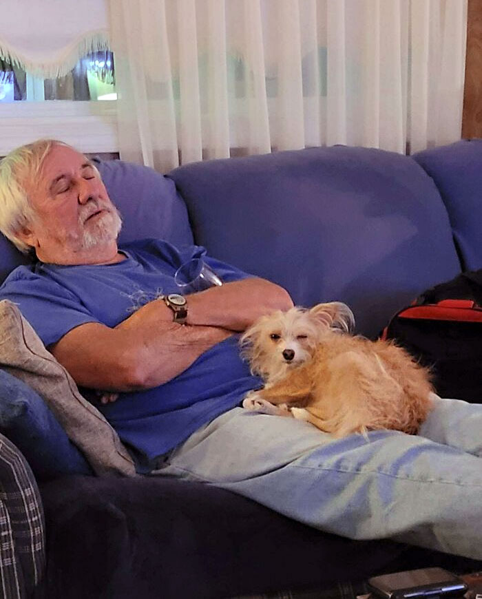 My Mom's Dog Has Had Enough Of The Loud Children At Christmas Dinner. Also, My Uncle Was In A Turkey Coma