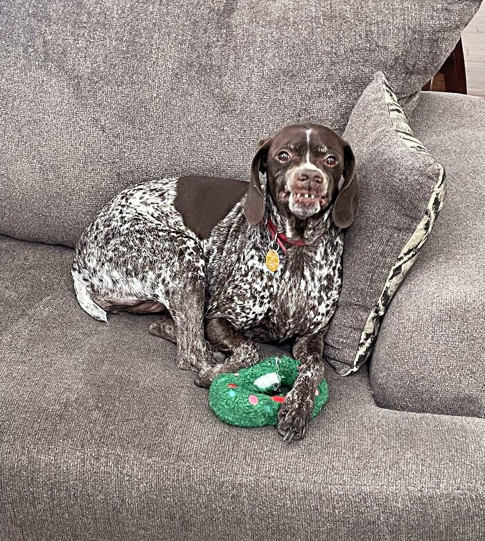 Christmas Presents Bring Out The Goofiest Smiles