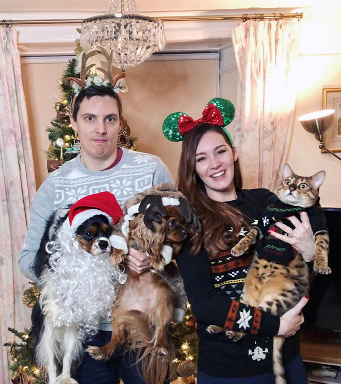 My Cat Is In A Big Christmas Mood